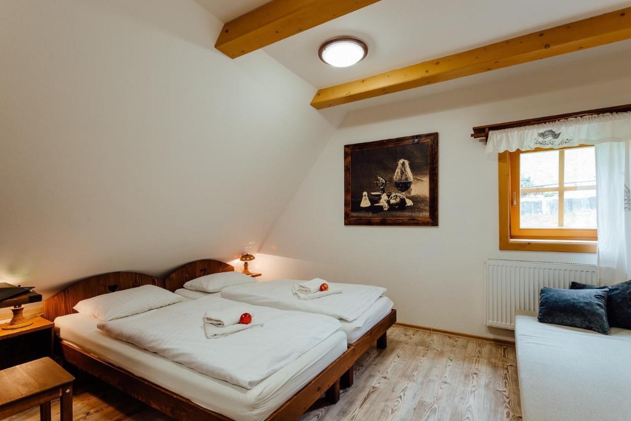 Wellness Rezort Janosikov Dvor Zázrivá 外观 照片